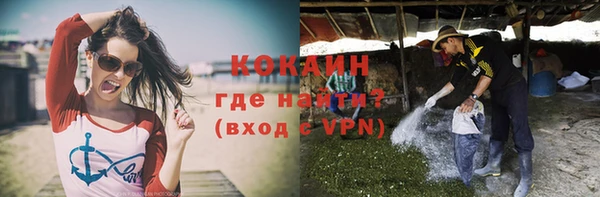 стаф Ельня