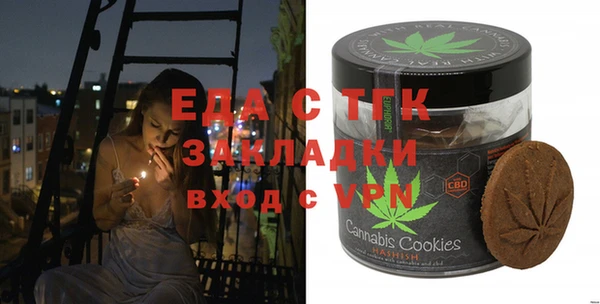 стаф Ельня