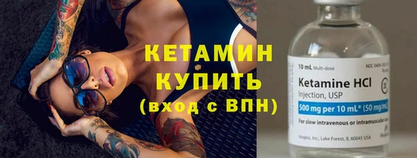 стаф Ельня