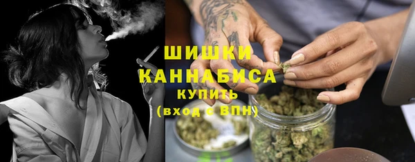 стаф Ельня