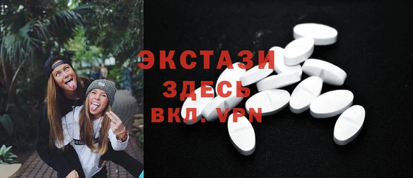 стаф Ельня