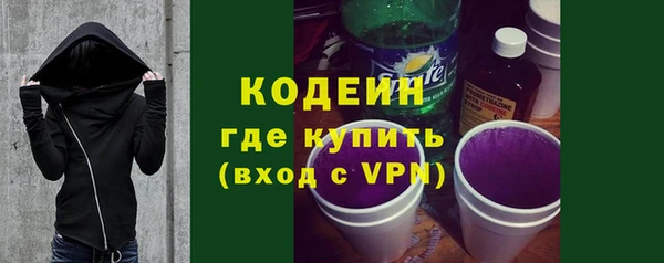 мдпв Елизово