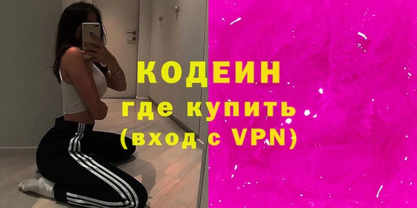 стаф Ельня
