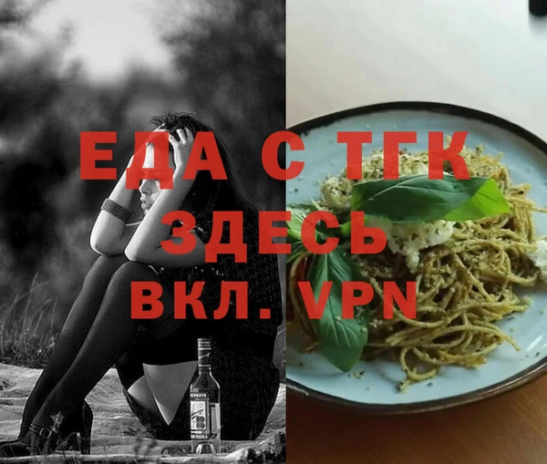 стаф Ельня