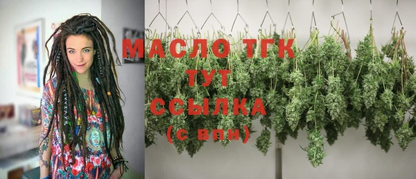 стаф Ельня