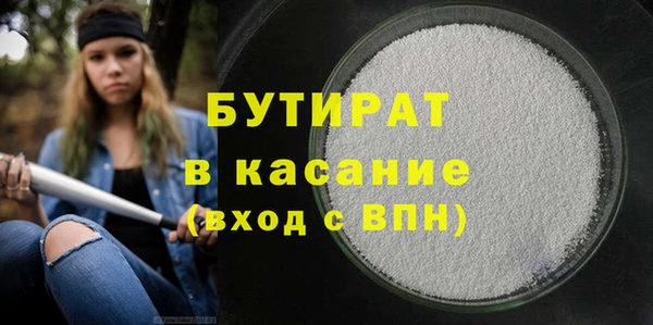 стаф Ельня
