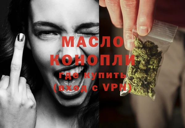 стаф Ельня
