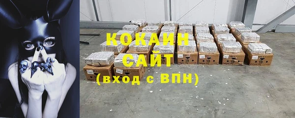 стаф Ельня