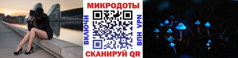 купить наркоту  Могоча  Галлюциногенные грибы прущие грибы 