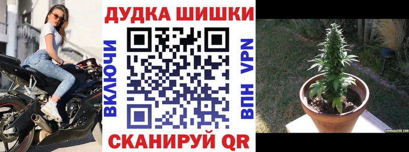 Канабис MAZAR  купить наркоту  Могоча 